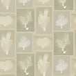 Dado Atelier hemp sea fans wallpaper