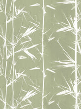 Load image into Gallery viewer, Dado Atelier taupe khaki bamboo wallpaper
