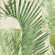 Dado Atelier leaf palms wallpaper