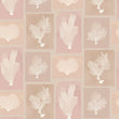 Dado Atelier blush sea fans wallpaper