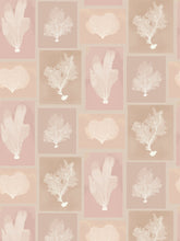 Load image into Gallery viewer, Dado Atelier blush sea fans wallpaper

