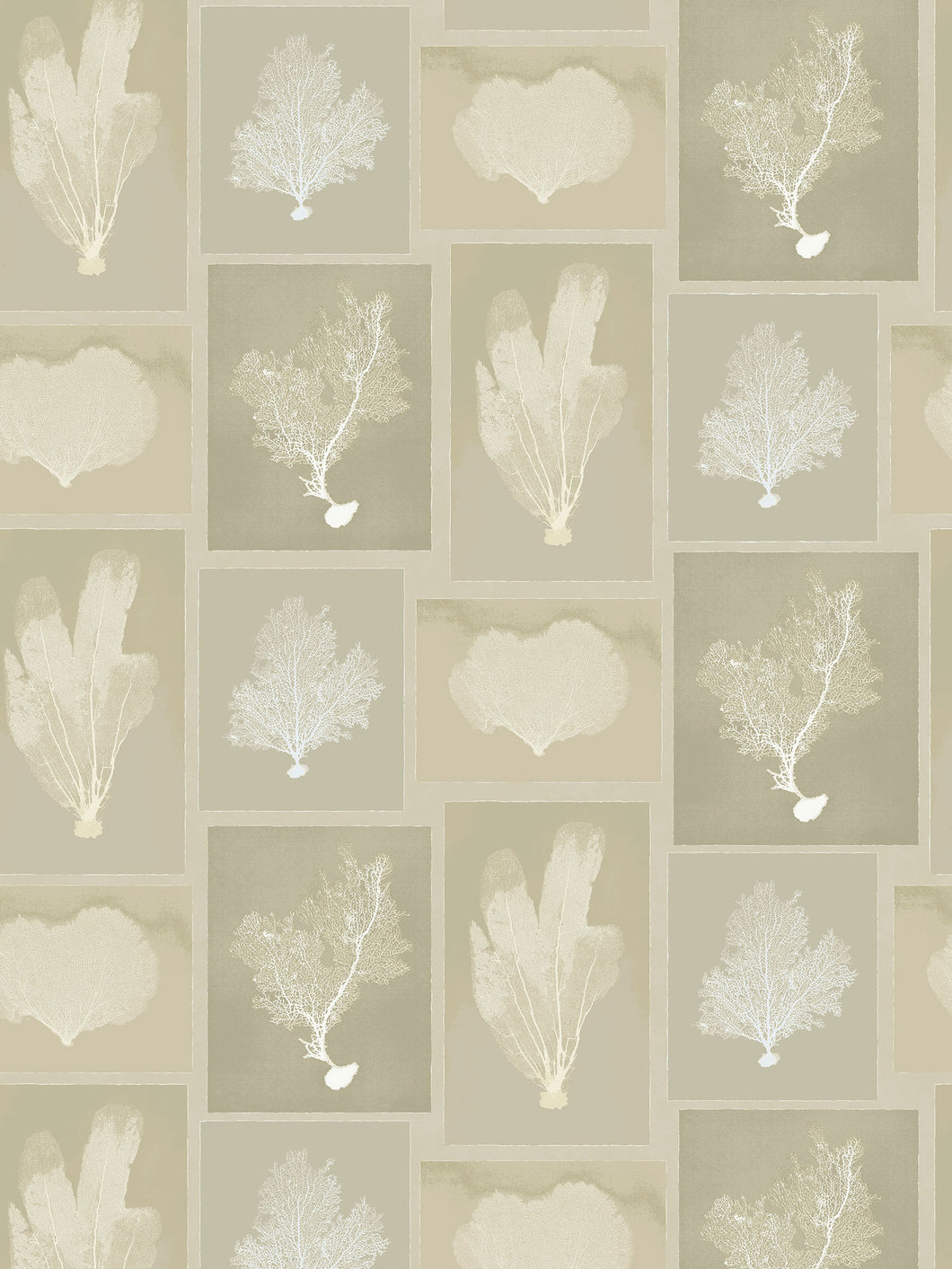 Dado Atelier hemp sea fans wallpaper